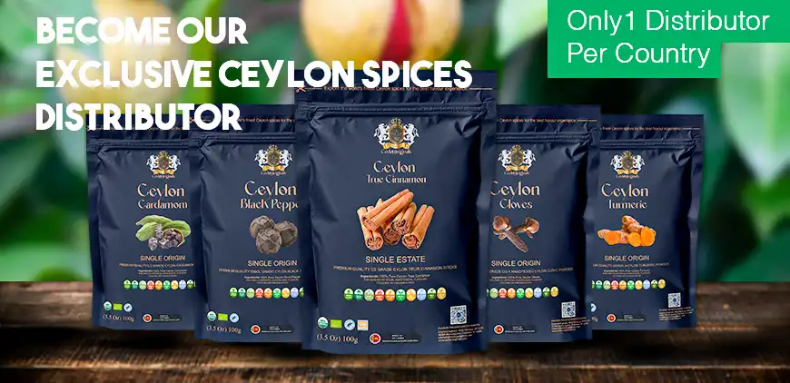 Ceylon products category showcase